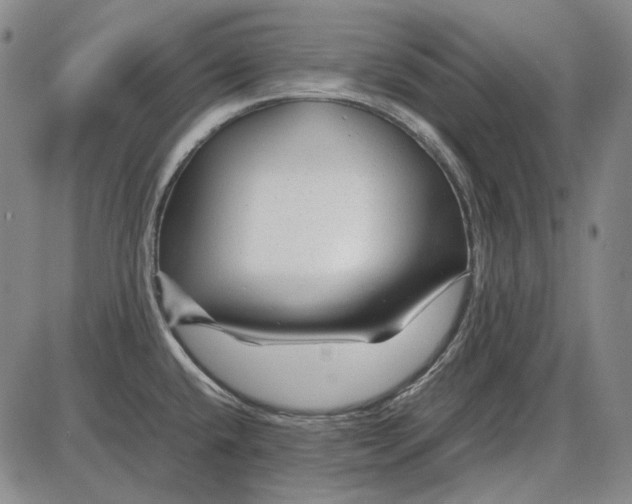 X0000085831432200703301608