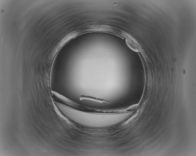 X0000085831433200703301608