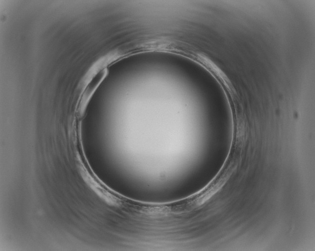 X0000085831434200703301608