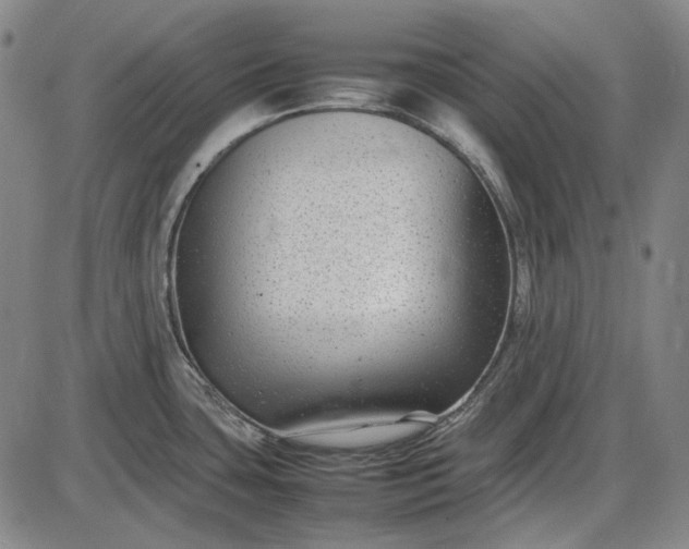 X0000085831435200703301608