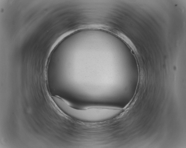 X0000085831436200703301608