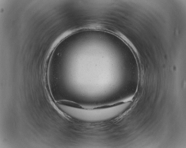 X0000085831437200703301608