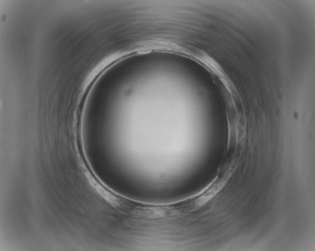 X0000085831438200703301608