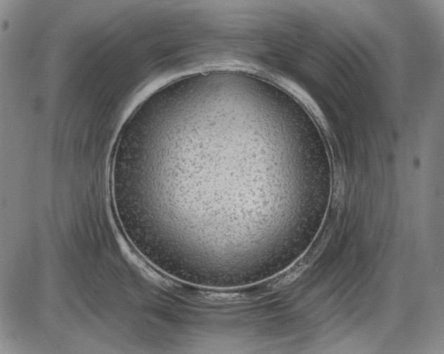 X0000085831439200703301608