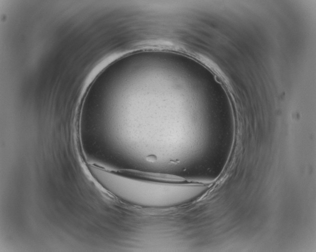 X0000085831440200703301608