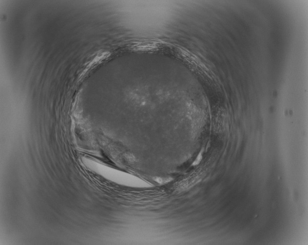 X0000085831441200703301607