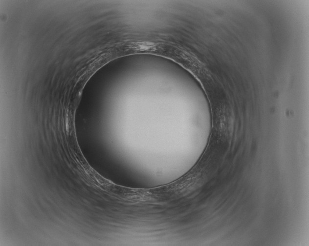 X0000085831442200703301607