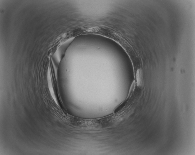 X0000085831443200703301607