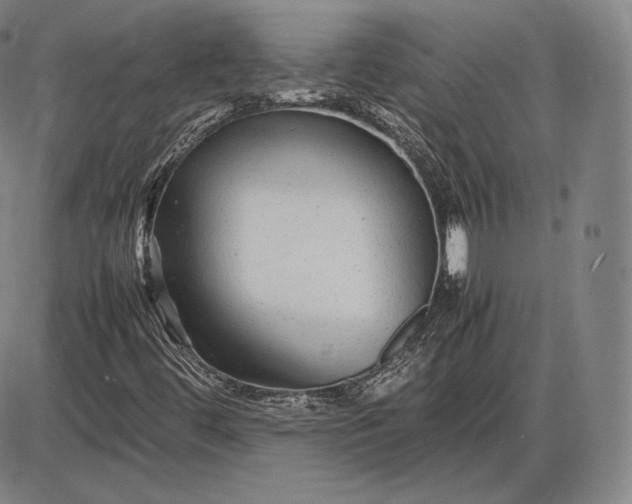 X0000085831444200703301607