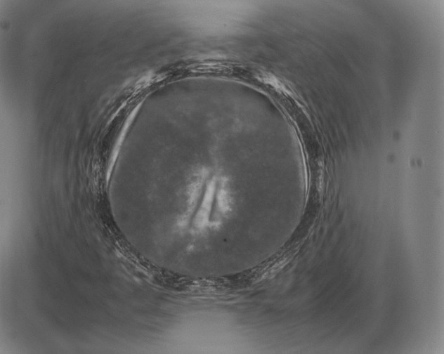 X0000085831445200703301607