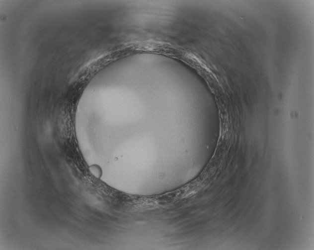 X0000085831446200703301607