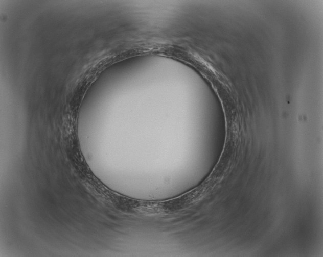 X0000085831447200703301607