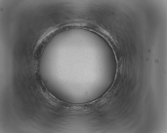 X0000085831448200703301607