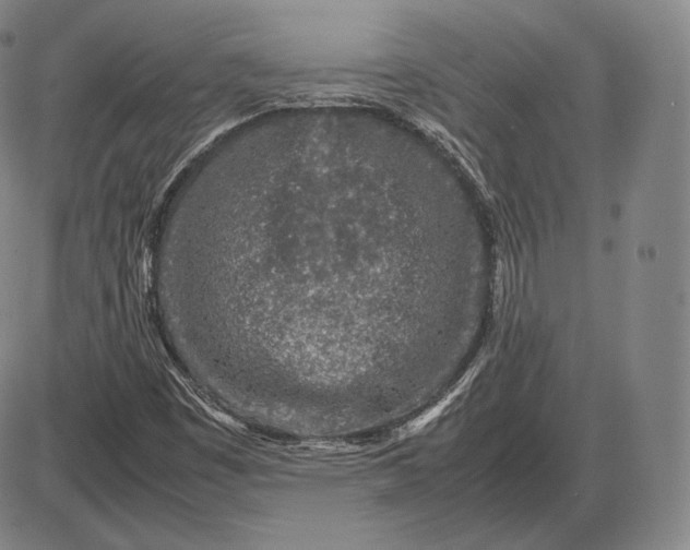 X0000085831449200703301607