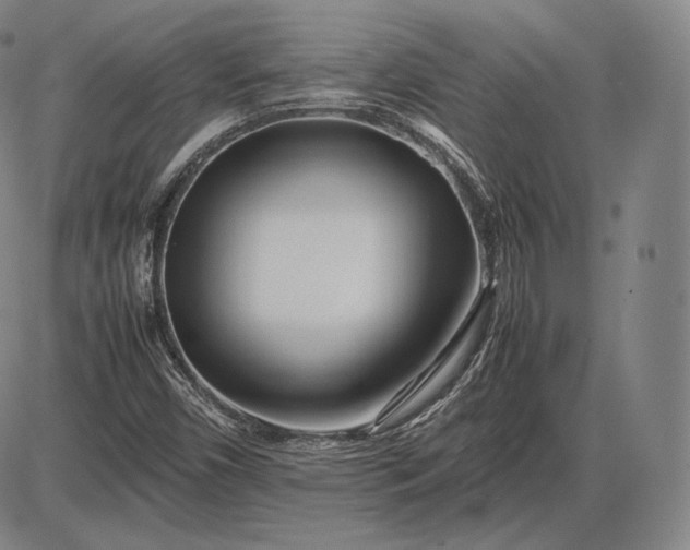 X0000085831450200703301607