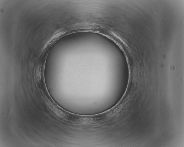 X0000085831451200703301607