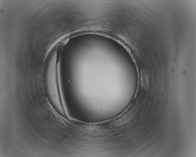 X0000085831452200703301607