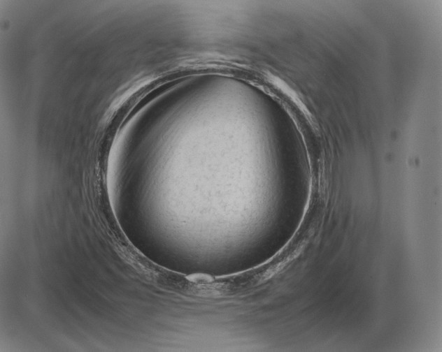 X0000085831453200703301607