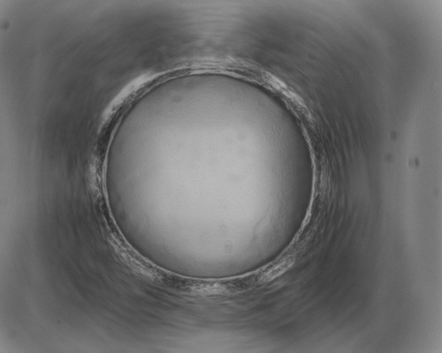 X0000085831454200703301607