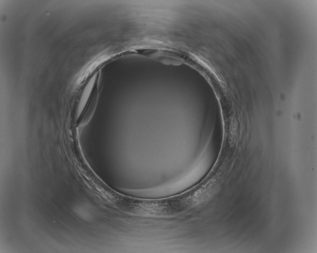 X0000085831455200703301607