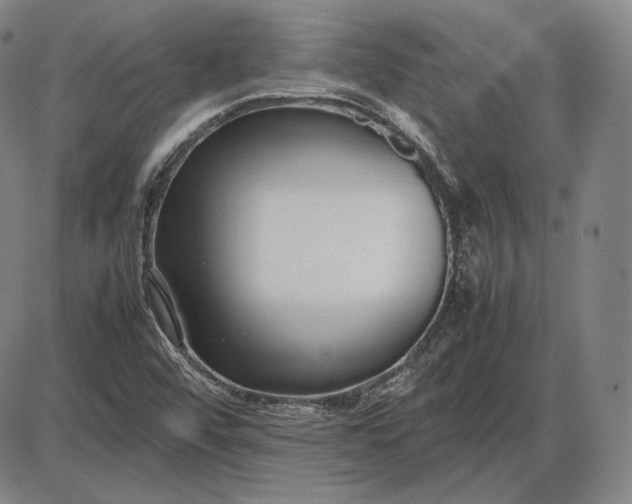 X0000085831456200703301607