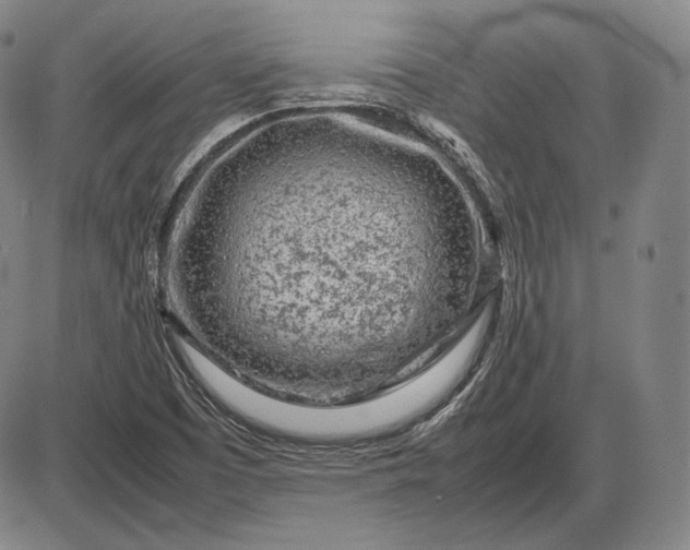 X0000085831457200703301607