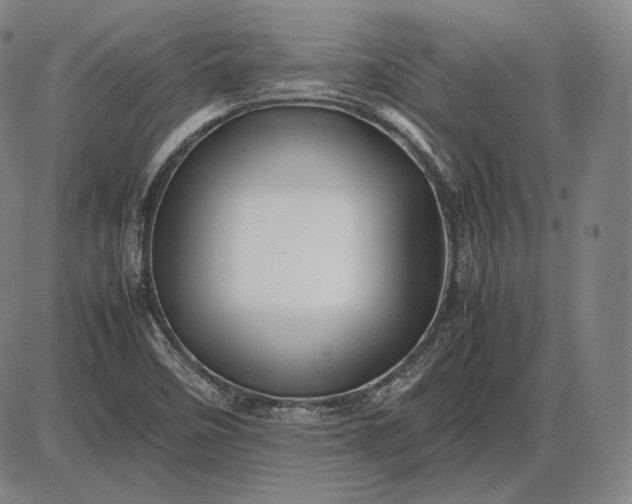 X0000085831458200703301607