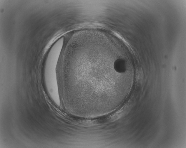 X0000085831459200703301607