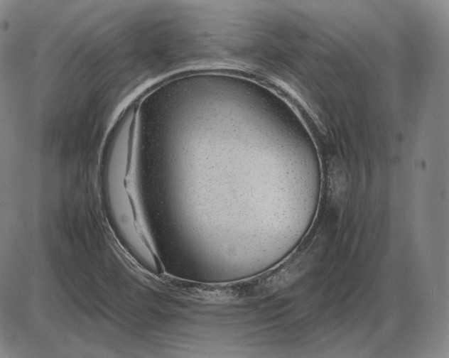 X0000085831460200703301607