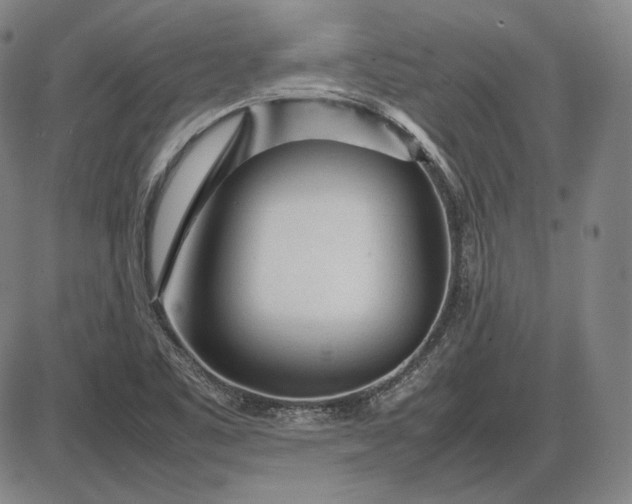 X0000085831461200703301607