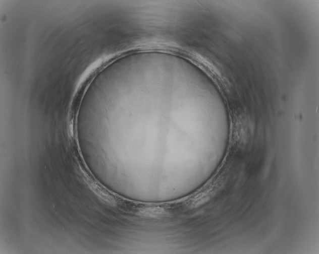 X0000085831462200703301607