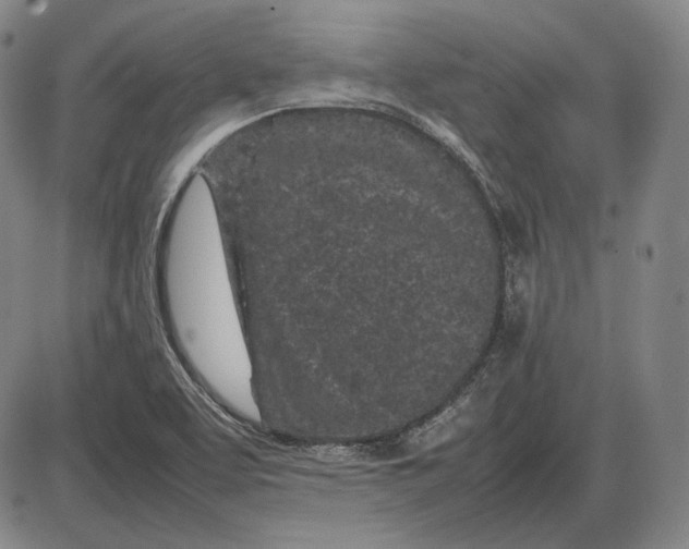 X0000085831463200703301607