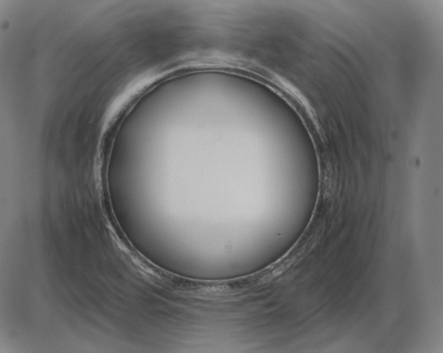 X0000085831464200703301607