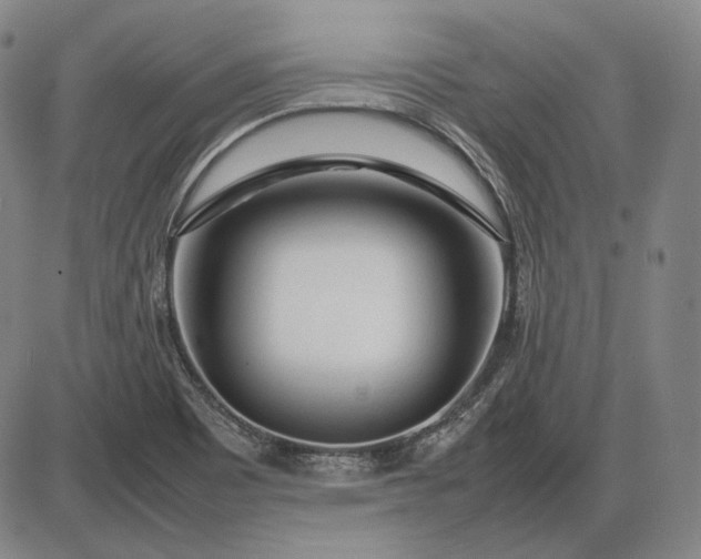 X0000085831465200703301607