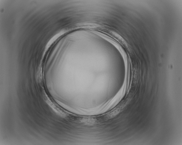 X0000085831466200703301607