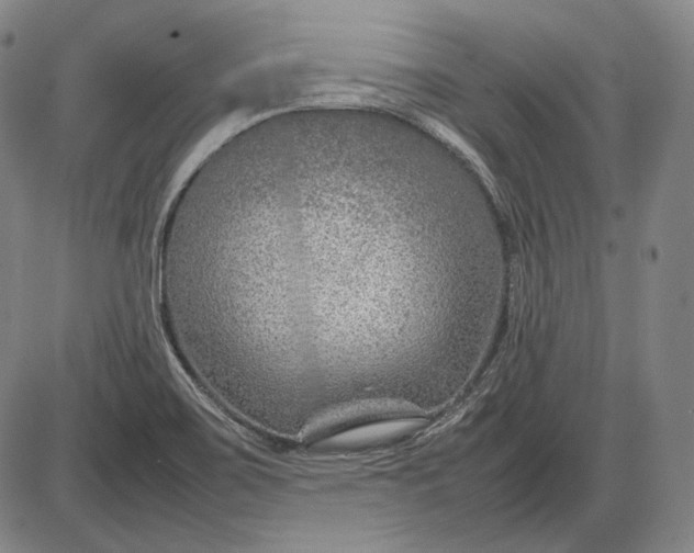 X0000085831467200703301607