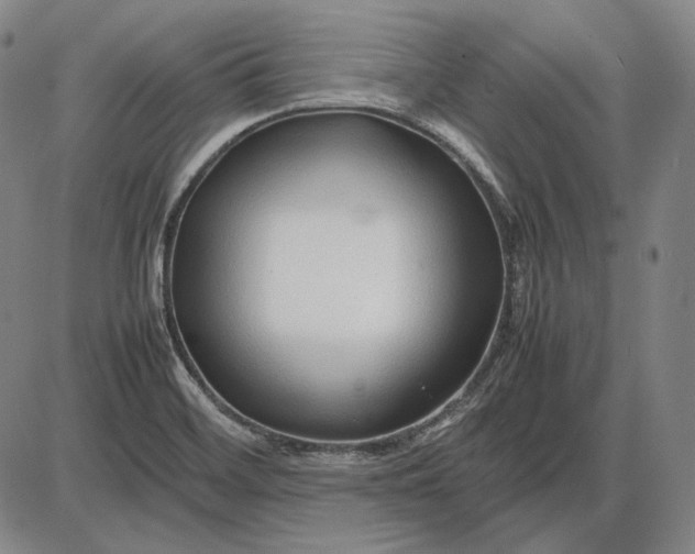 X0000085831468200703301607