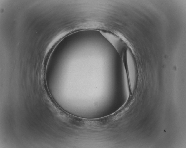 X0000085831469200703301607