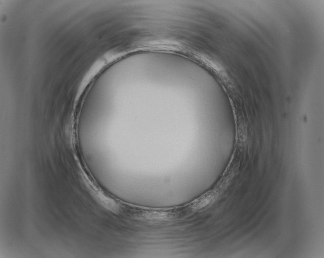 X0000085831470200703301607