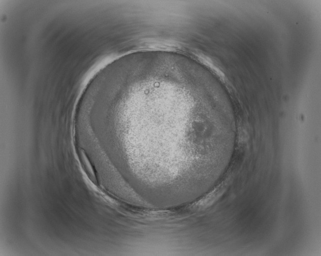 X0000085831471200703301606