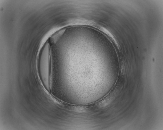 X0000085831472200703301606