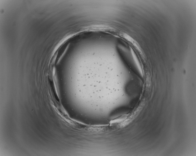 X0000085831473200703301606