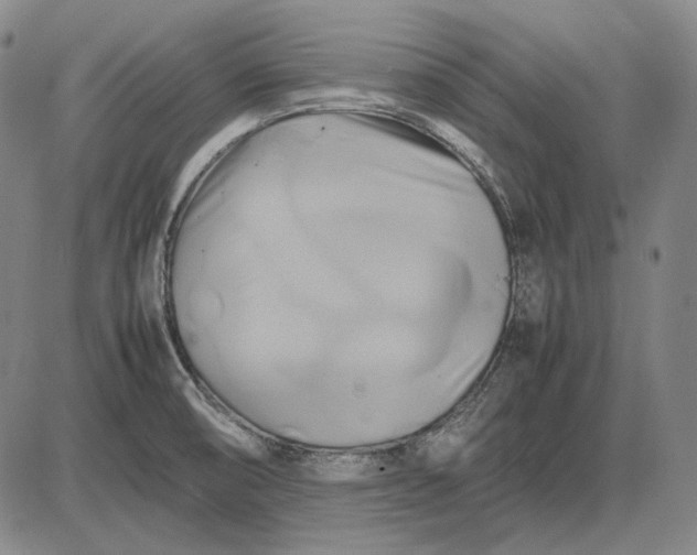 X0000085831474200703301606