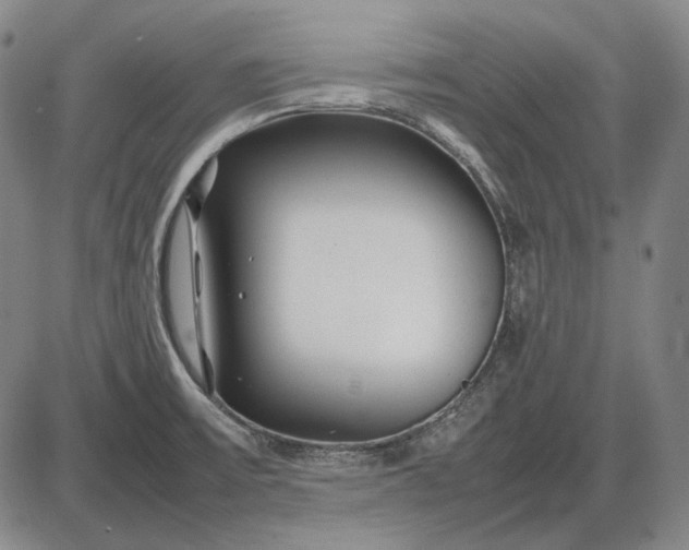 X0000085831475200703301606