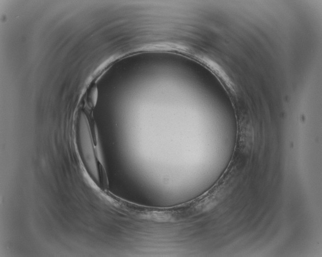 X0000085831476200703301606