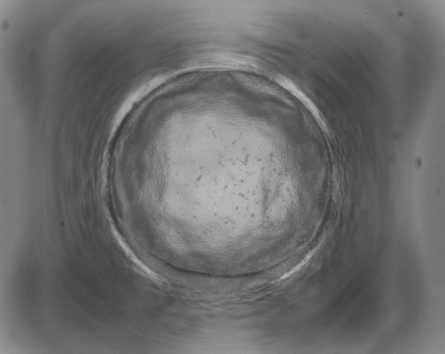 X0000085831477200703301606