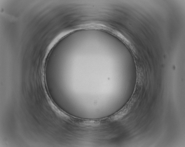 X0000085831478200703301606