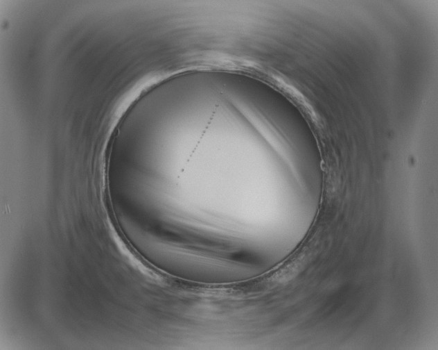 X0000085831479200703301606