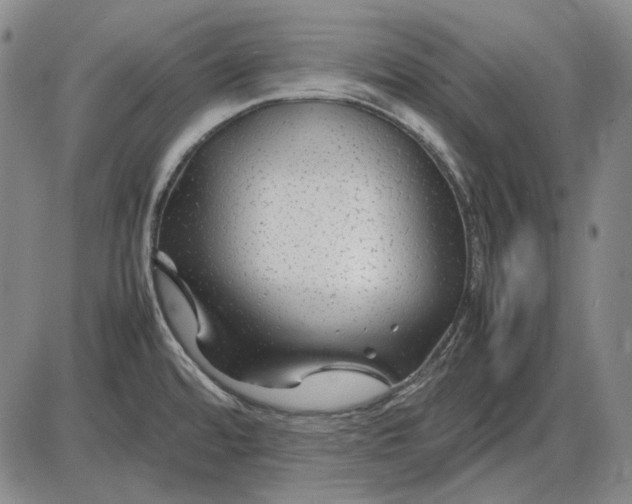 X0000085831480200703301606