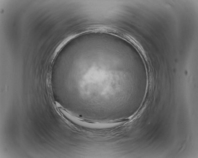 X0000085831481200703301606